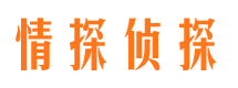 建水市私家侦探